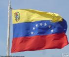 Σημαία της Βενεζουέλας, αποτελείται από τρεις οριζόντιες λωρίδες ίσου μεγέθους χρώματα κίτρινο, μπλε και κόκκινου, με ένα τόξο των οκτώ αστέρια εντός η μπλε λωρίδα